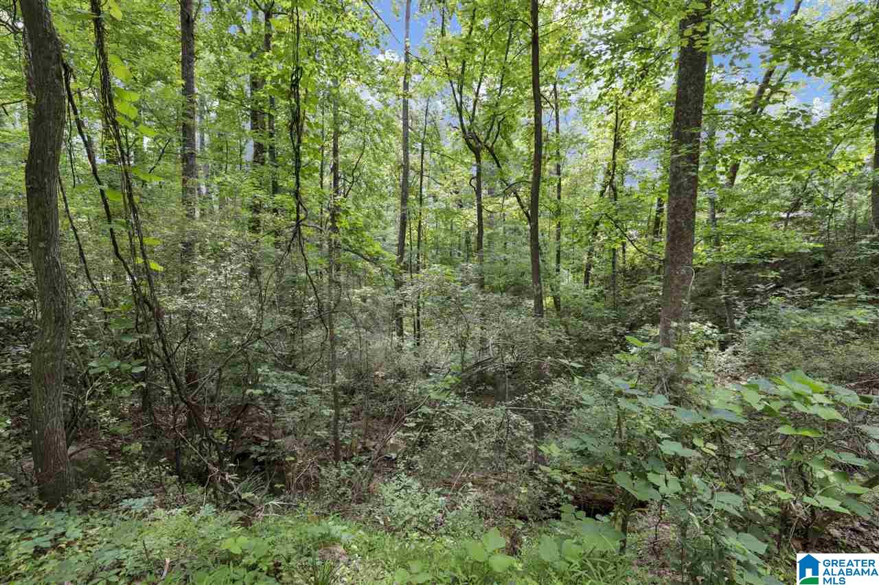5205 Whippoorwill Road Birmingham, AL 35210 - Photo 44 of 44