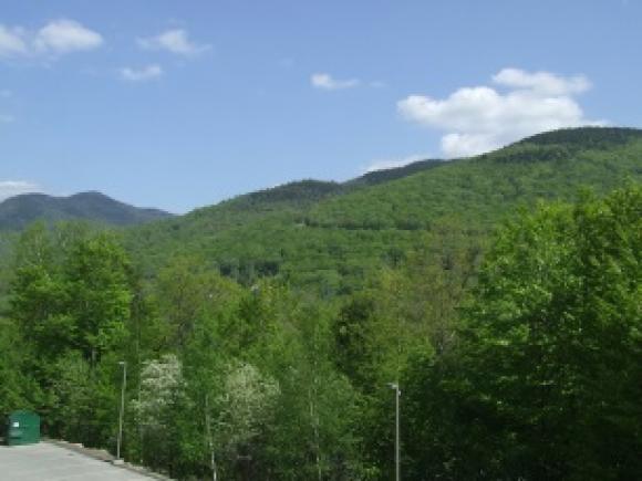 331 Brookline Road, Unit 331 Lincoln, NH 03251 - Photo 19 of 23 Gallery Image 19