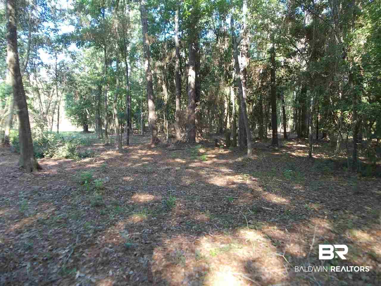 0 Ernest Patterson Road Robertsdale, AL 36567 - Photo 7 of 14