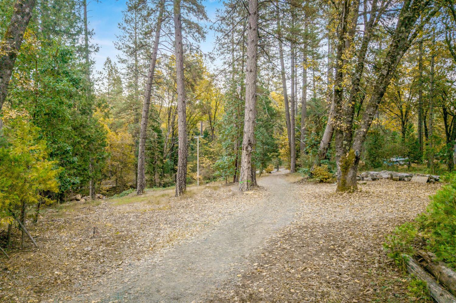 10376 Smith Road Grass Valley, CA 95949 - Photo 7 of 38