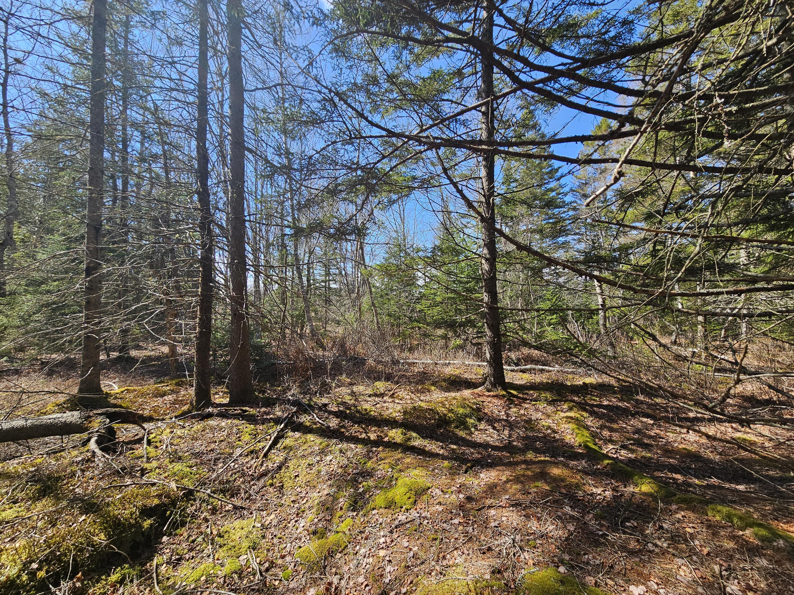 83 Willey District Road Harrington, ME 04643 - Photo 50 of 66 20260414_143430