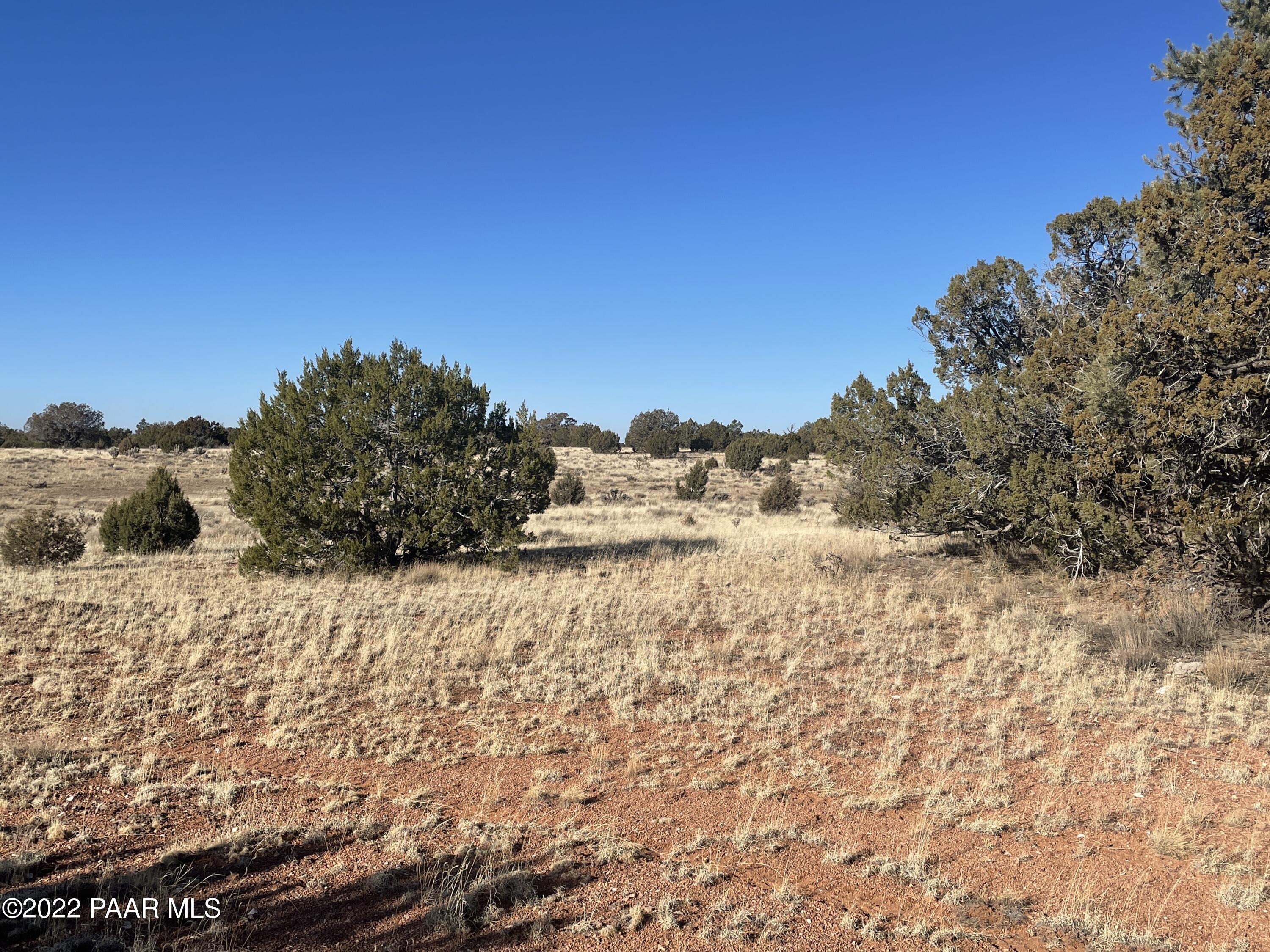 0 Antelope Run Road Seligman, AZ 86337 - Photo 3 of 11