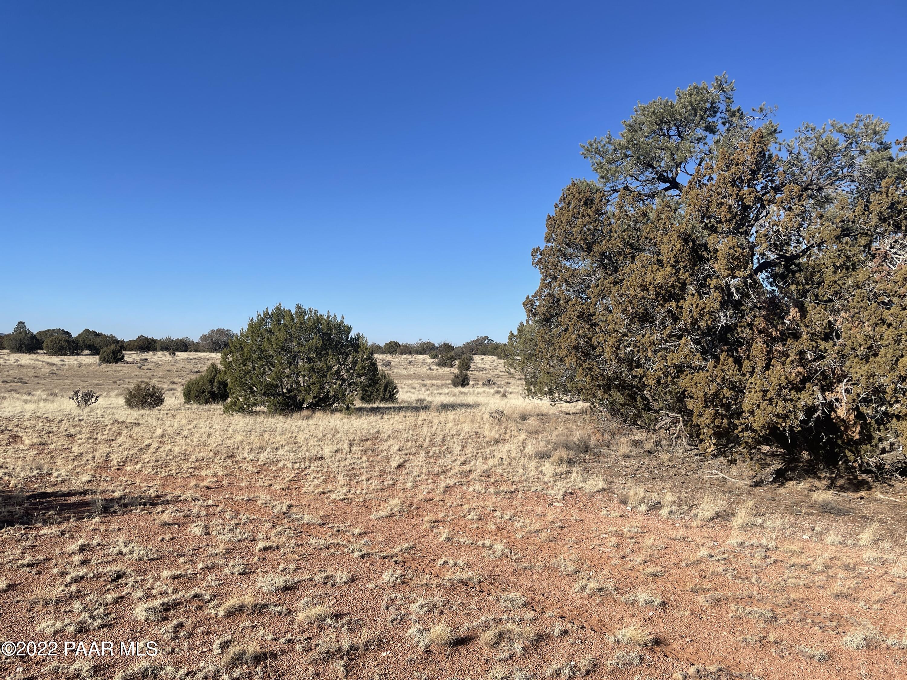 0 Antelope Run Road Seligman, AZ 86337 - Photo 5 of 11 a view of a dry yard with wooden fence