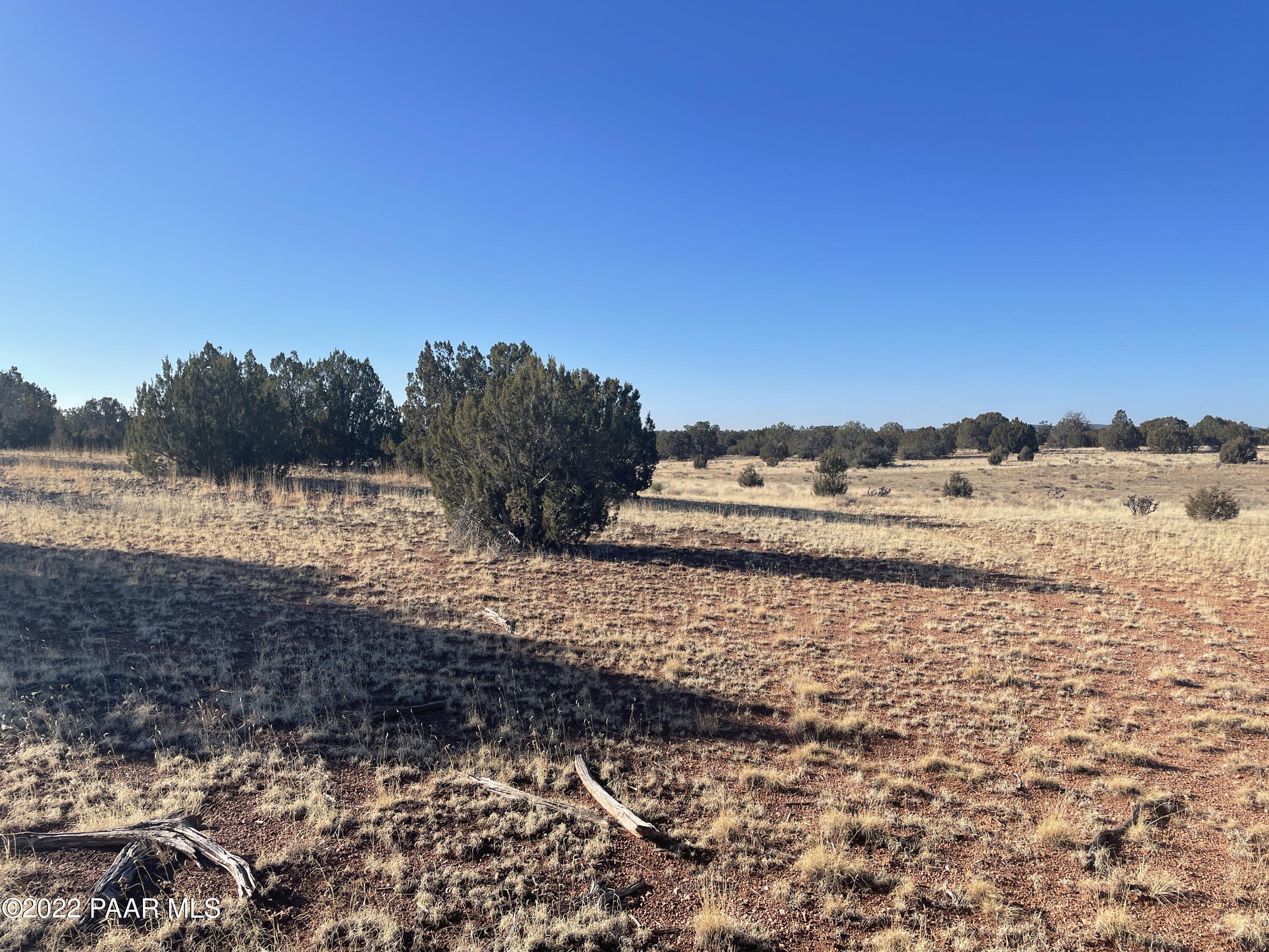 0 Antelope Run Road Seligman, AZ 86337 - Photo 6 of 11 a view of ocean view with beach