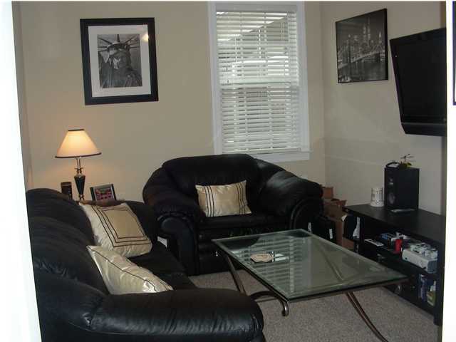 306 Carriage Wheel Road Moncks Corner, SC 29461 - Photo 17 of 21 Additional Photo