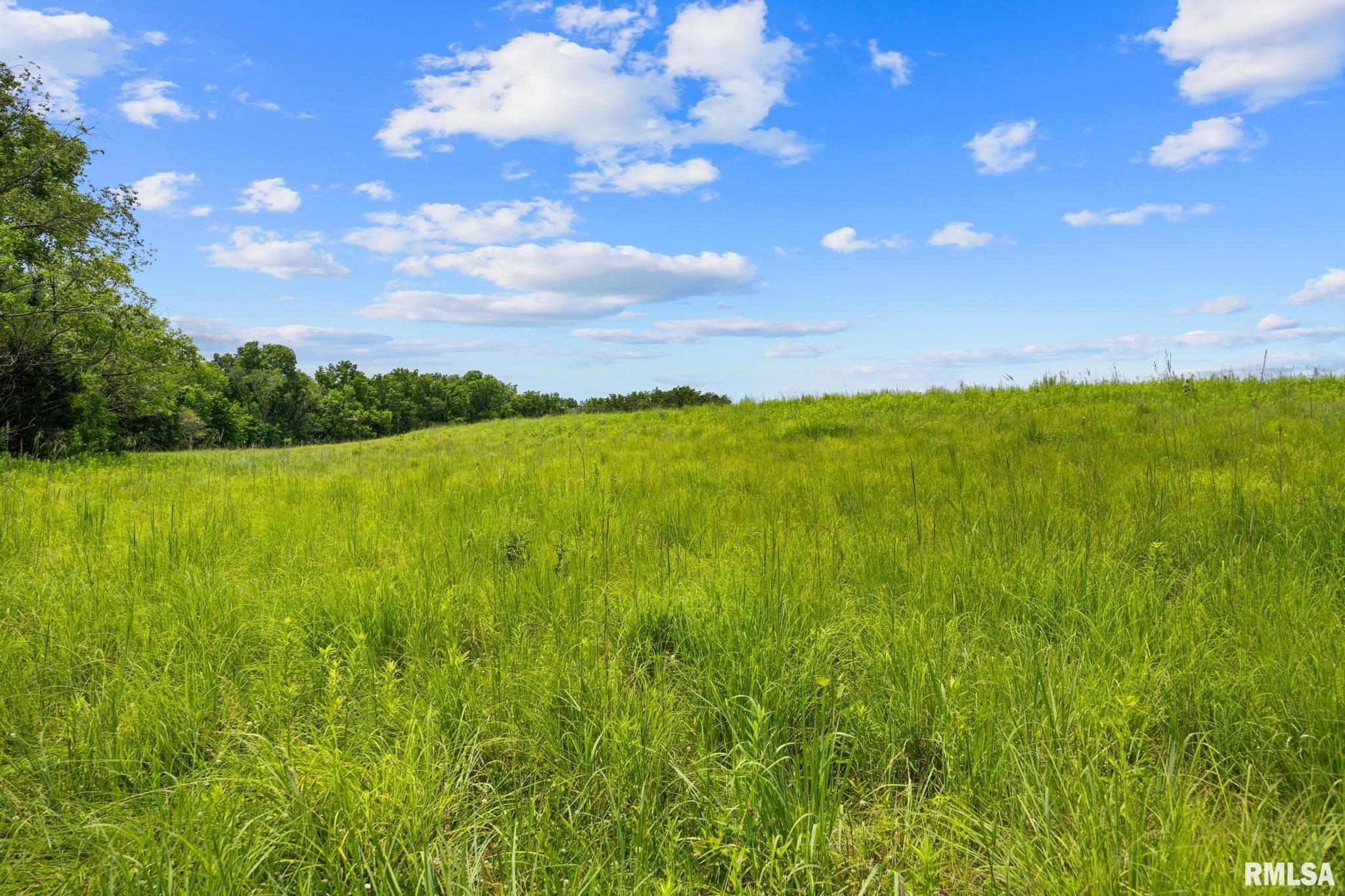 0 North Stone School Road Elmwood, IL 61529 - Photo 62 of 90