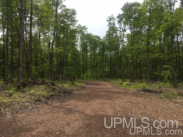 864 Niemi Road Skandia, MI 49885 - Photo 16 of 27