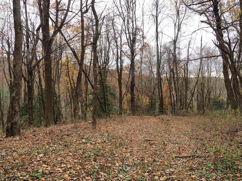 Tbd Tbd Beamers Knob Road, Unit 1 Fancy Gap, VA 24328 - Photo 1 of 1 Gallery Image 1