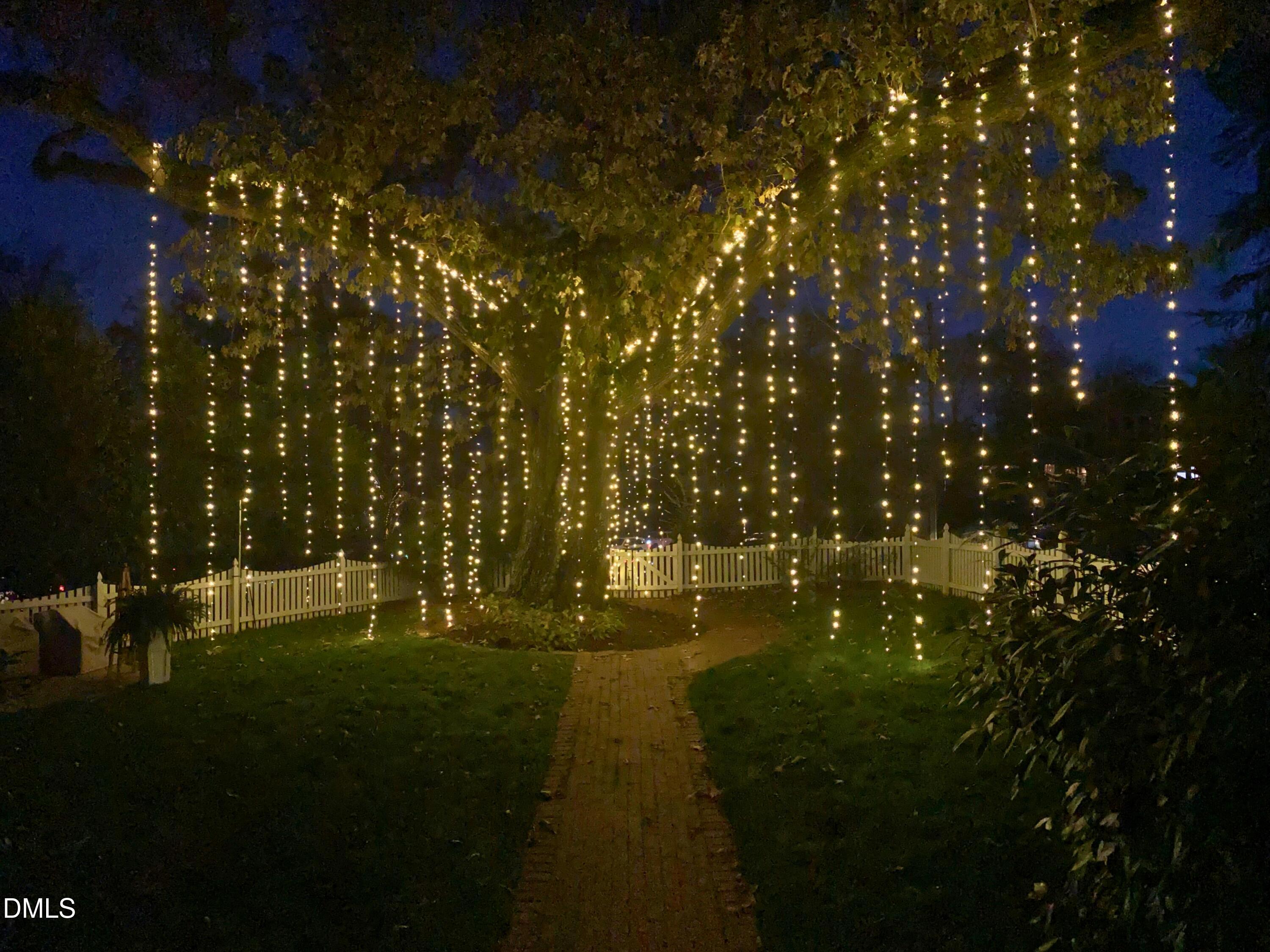 2143 Cowper Drive Raleigh, NC 27608 - Photo 2 of 4 HolidayLights