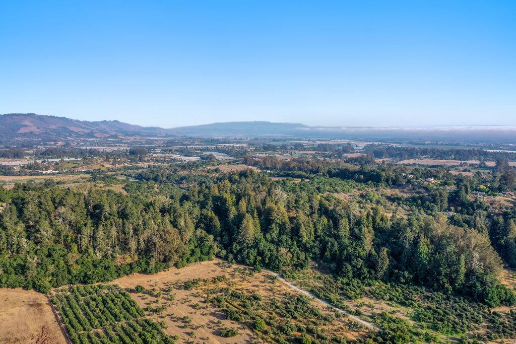 153 Browns Valley Road Corralitos, CA 95076 - Photo 9 of 40 a view of a city from a yard
