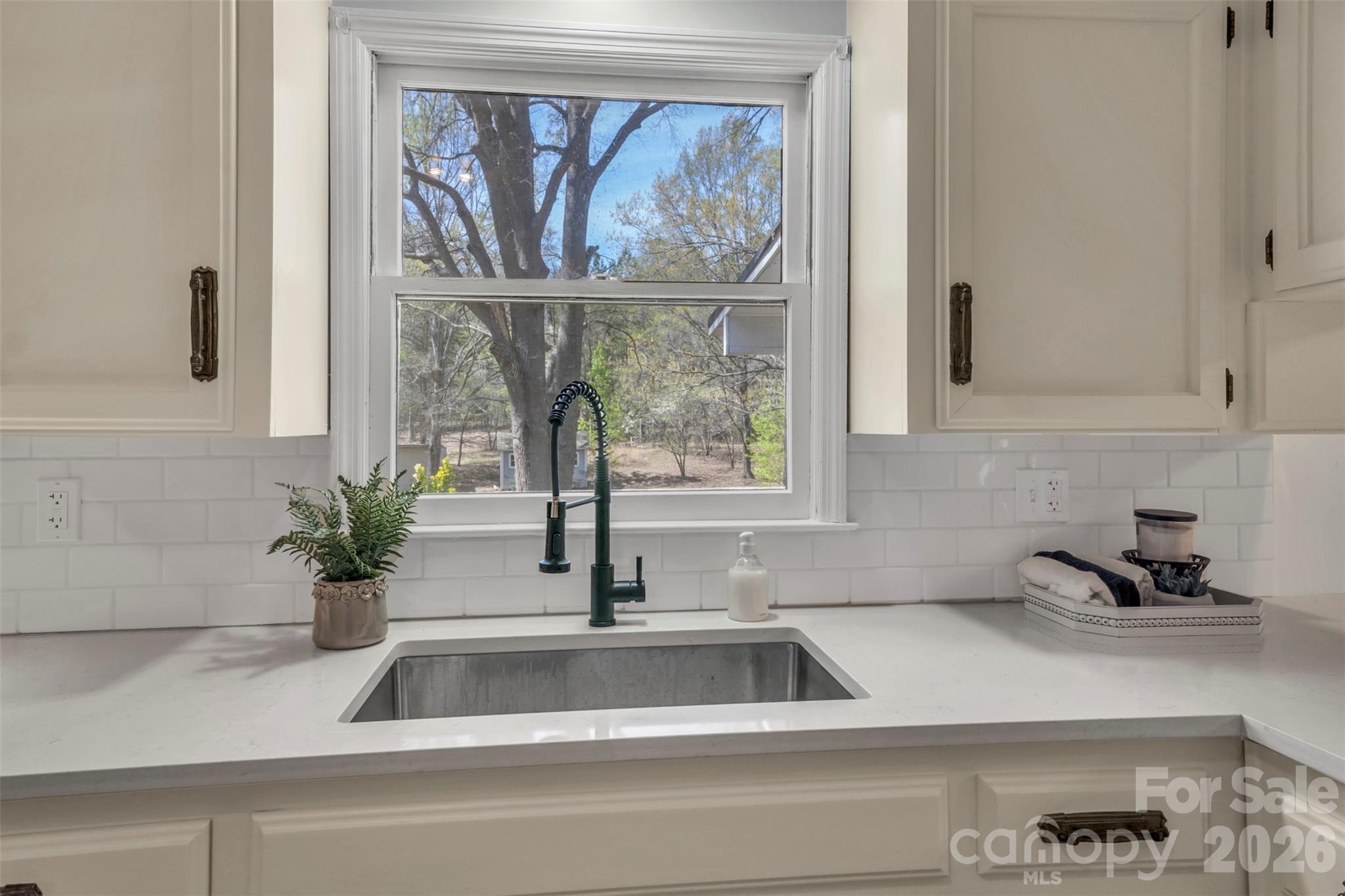 1471 Monroe Highway Lancaster, SC 29720 - Photo 19 of 45 a sink with a potted plant on the counter and a sink