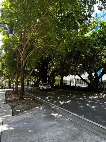 a view of a street with trees and houses