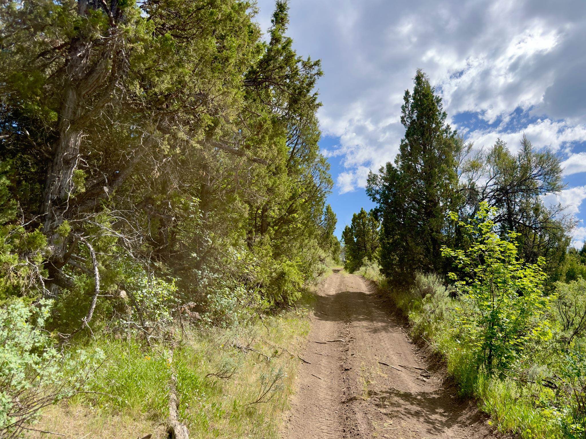 Tbd Fish Creek Road Lava Hot Springs, ID 83246 - Photo 26 of 50 Gallery Image 26