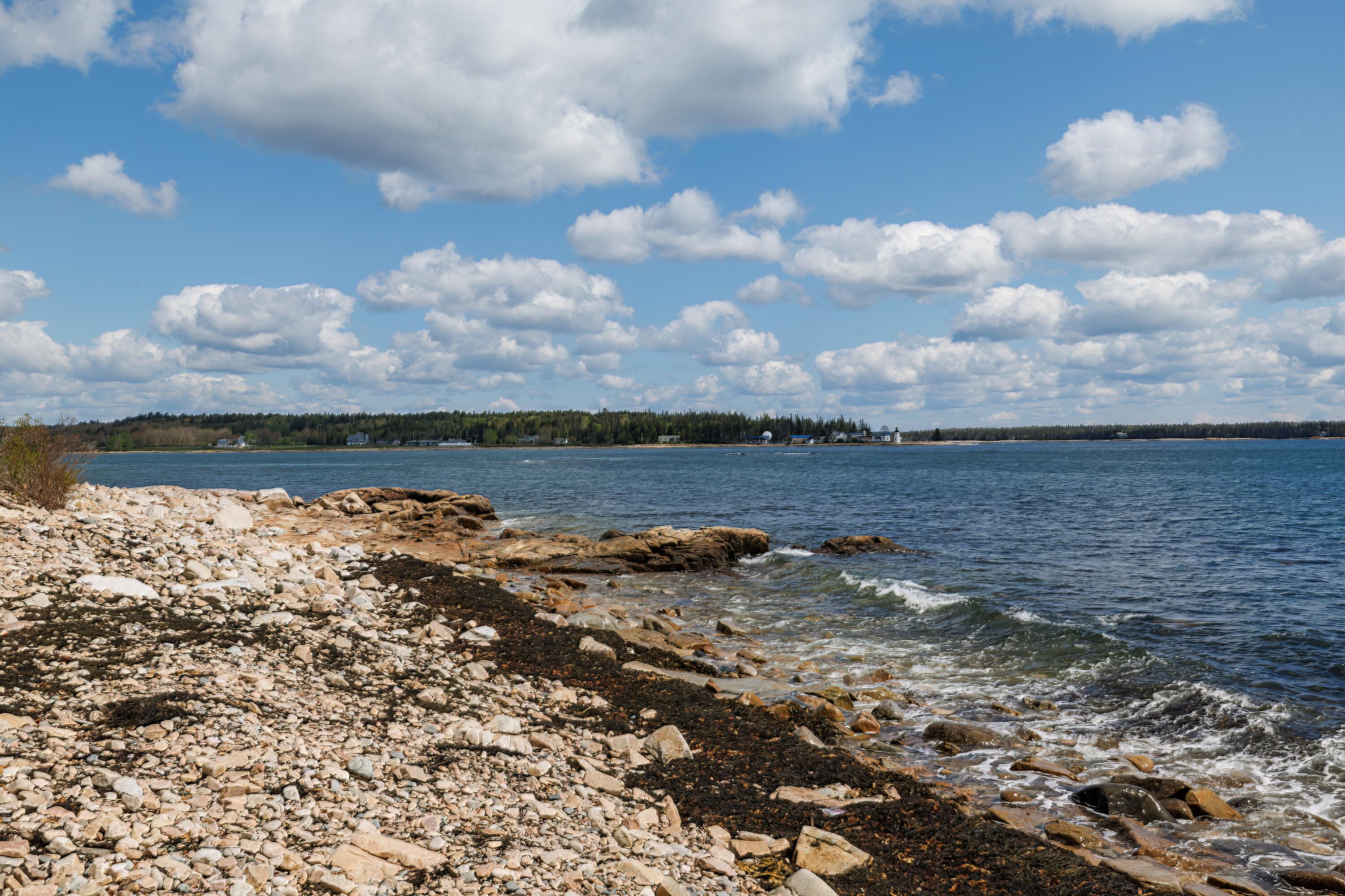 31 Clark Point Road Prospect Harbor, ME 04669 - Photo 60 of 90 71-31 Clark point Road HiRes-DTP