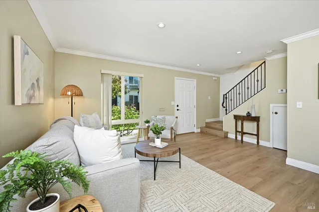 a living room with furniture potted plant and a window