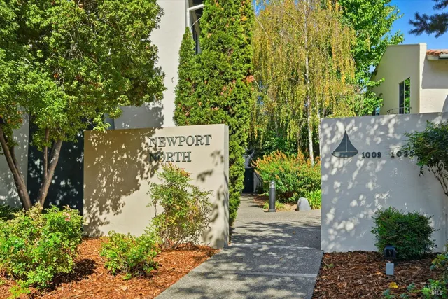 a view of a backyard with plants and large tree