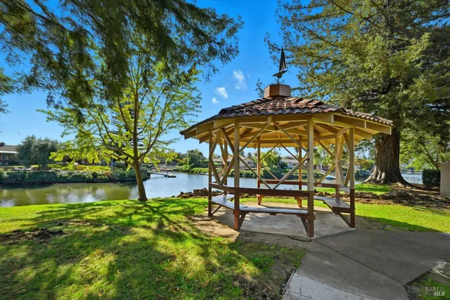 a view of a park with large trees