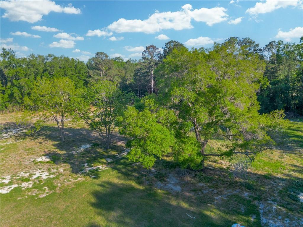 264 Williams Loop Waycross, GA 31503 - Photo 8 of 33