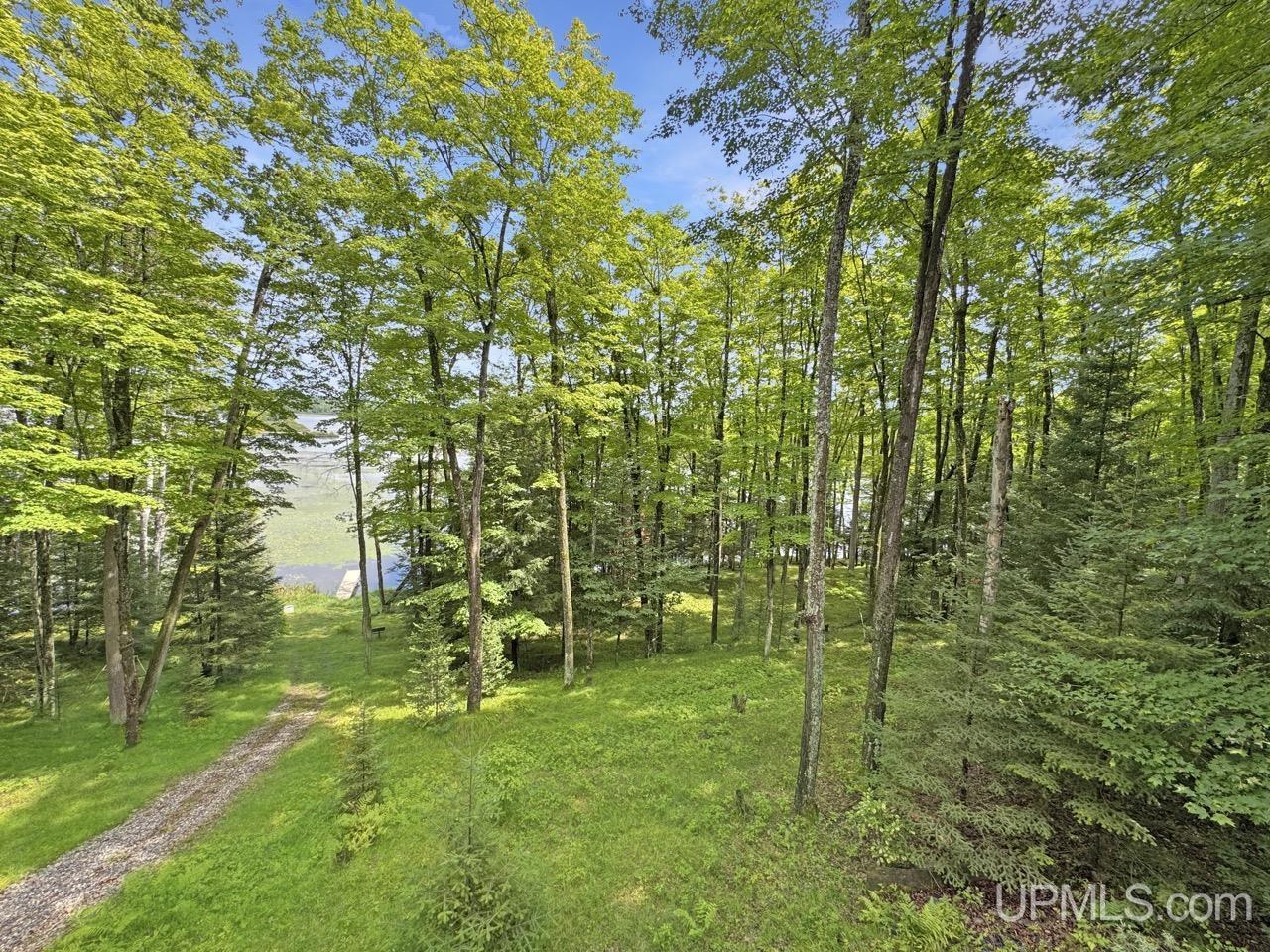 252 Bara Road Crystal Falls, MI 49920 - Photo 25 of 39