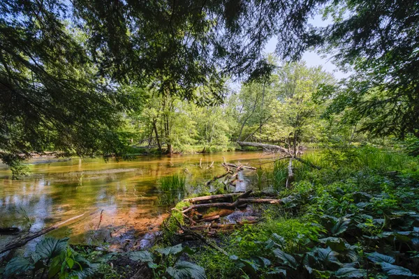 $995,000 | 9670 South County Line Road, Manistee, MI 49660