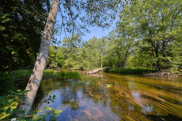 $995,000 | 9670 South County Line Road, Manistee, MI 49660