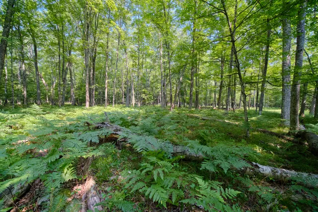 $1,095,000 | 9670 South County Line Road, Manistee, MI 49660