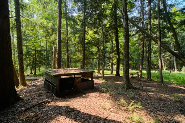 $995,000 | 9670 South County Line Road, Manistee, MI 49660