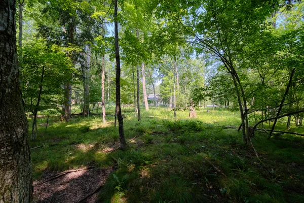 $995,000 | 9670 South County Line Road, Manistee, MI 49660