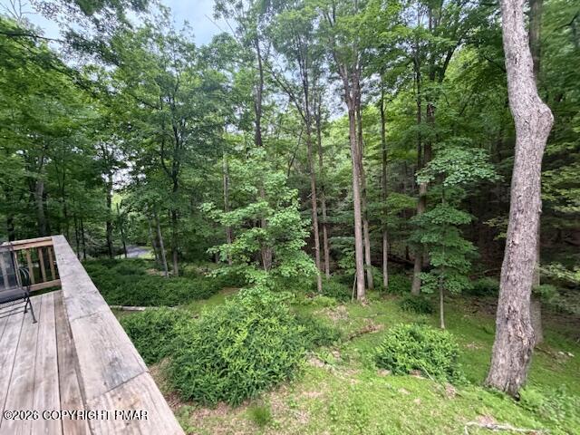 170 Eagle Pass Road Henryville, PA 18332 - Photo 21 of 24 IMG_3431