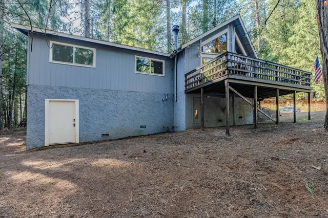 a wooden door covered with tall trees