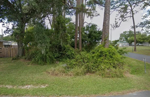 a view of a lush green space
