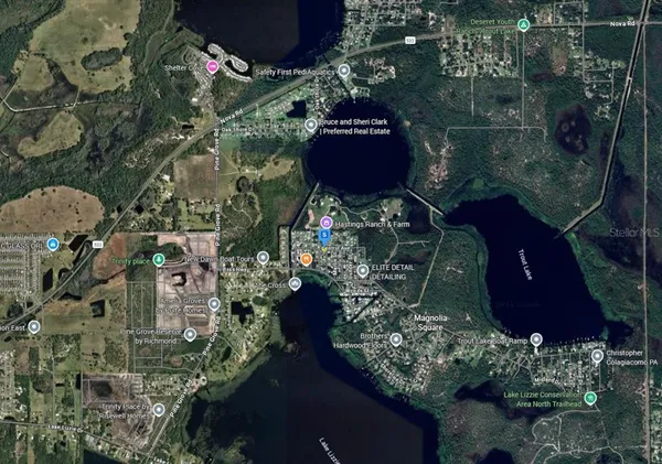 a picture of flowers