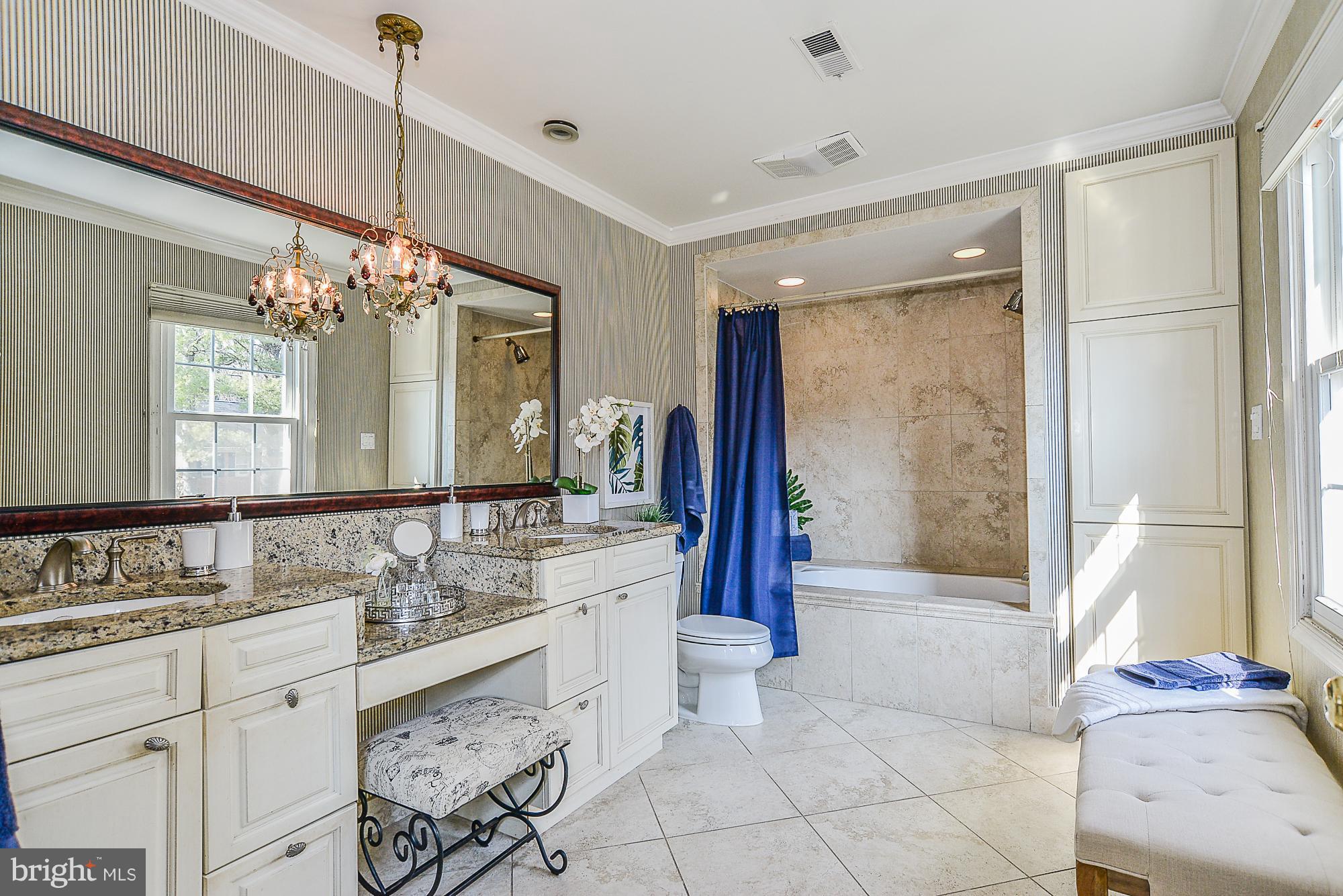 2644 Wild Cherry Place Reston, VA 20191 - Photo 20 of 29 Bath (Master)