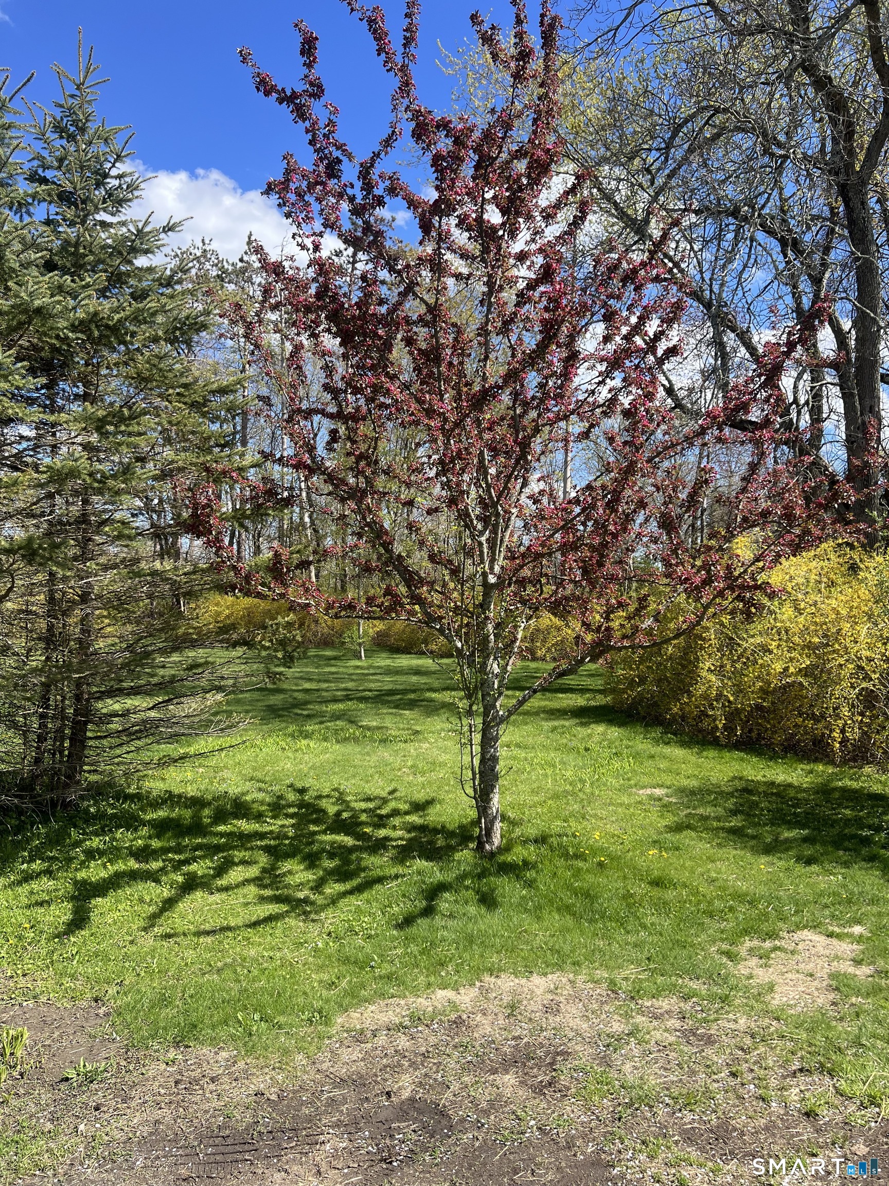 403 Beach Street Litchfield, CT 06759 - Photo 31 of 31