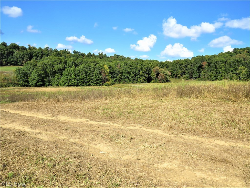 Steubenville Road Southeast Carrollton, OH 44615 - Photo 2 of 7
