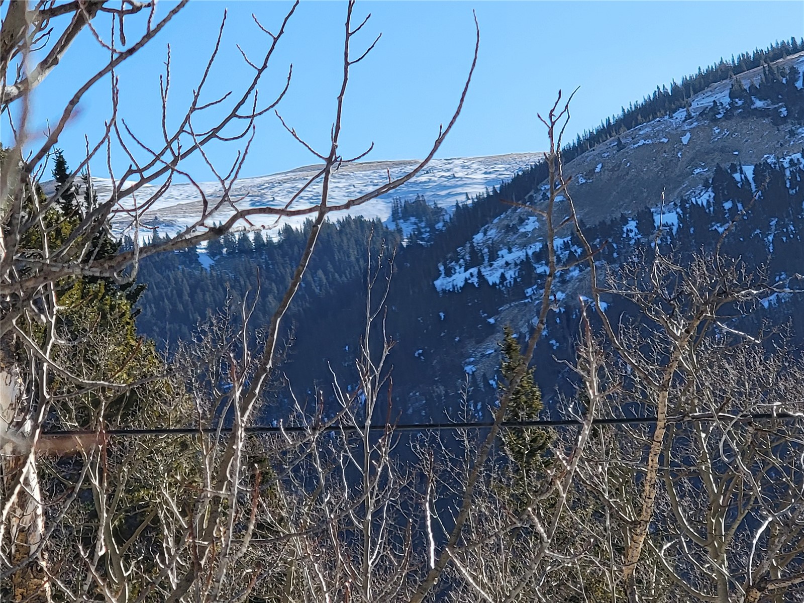 1191 Quartzville Road Alma, CO 80420 - Photo 31 of 43