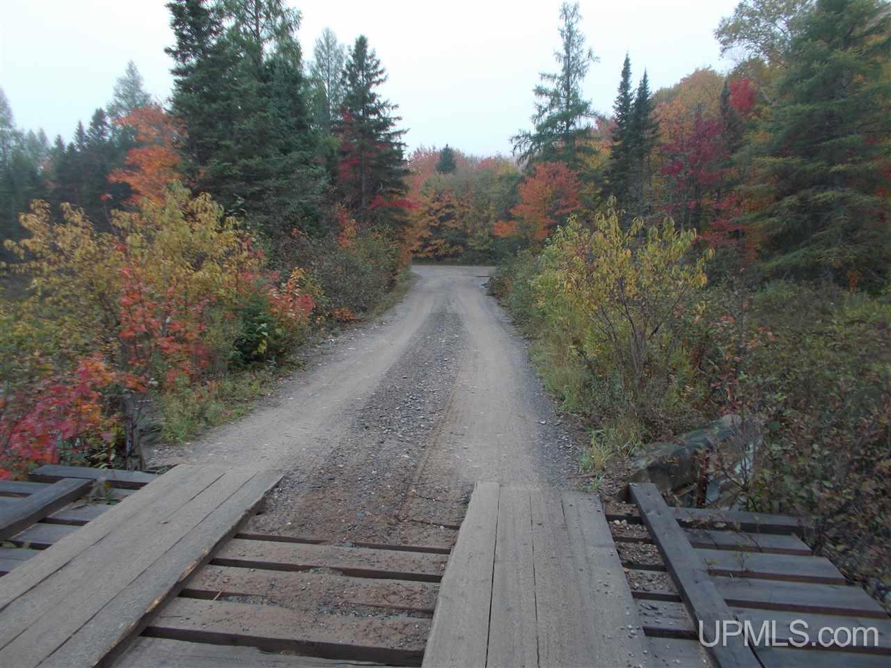 640-acres Peshekee Grade Road Skanee, MI 49946 - Photo 7 of 37