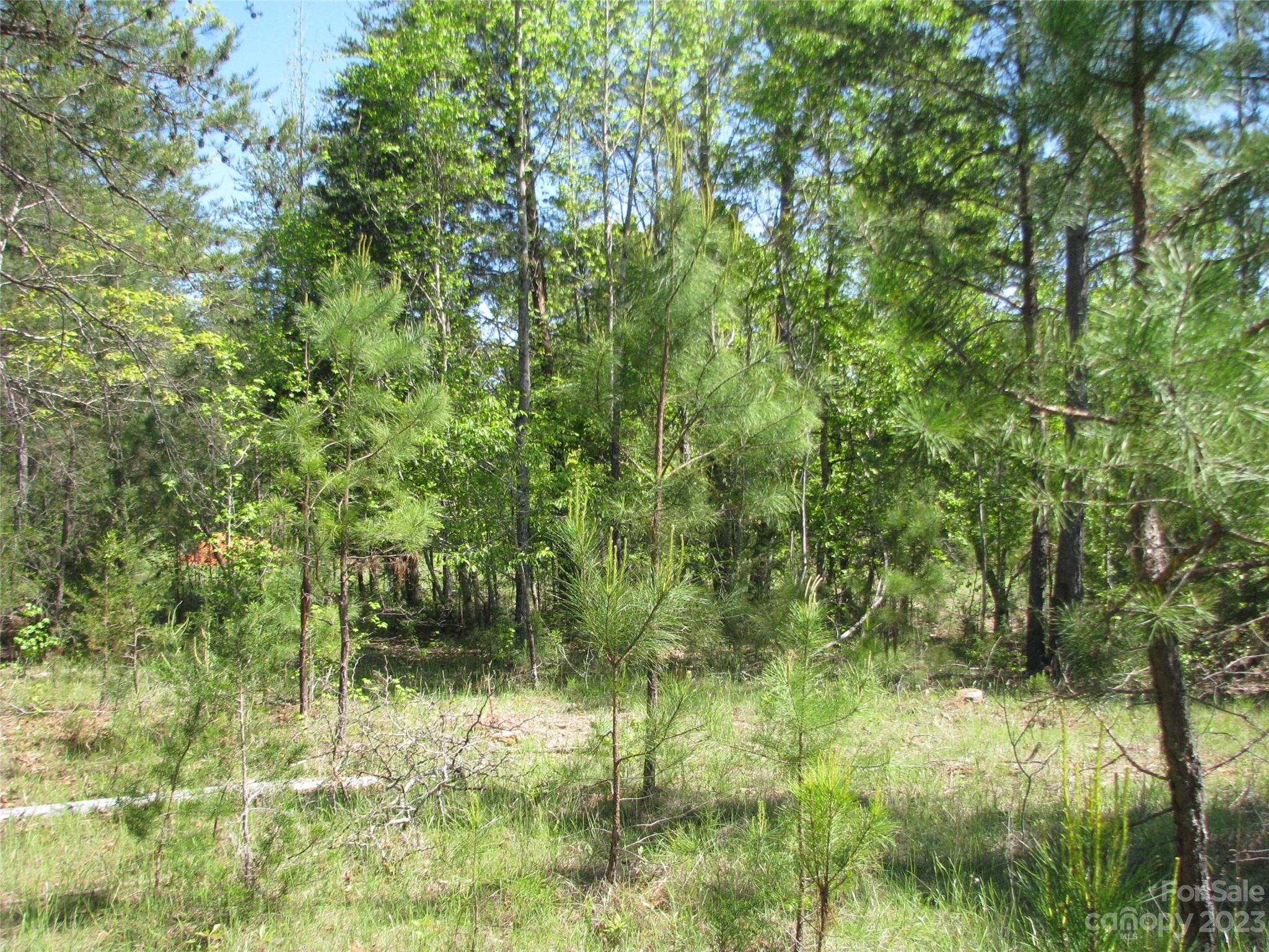 2.5-ac 2.5-ac Pilgrim Road Chester, SC 29706 - Photo 4 of 9 a view of a garden