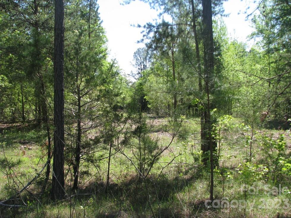 2.5-ac 2.5-ac Pilgrim Road Chester, SC 29706 - Photo 8 of 9 a view of forest