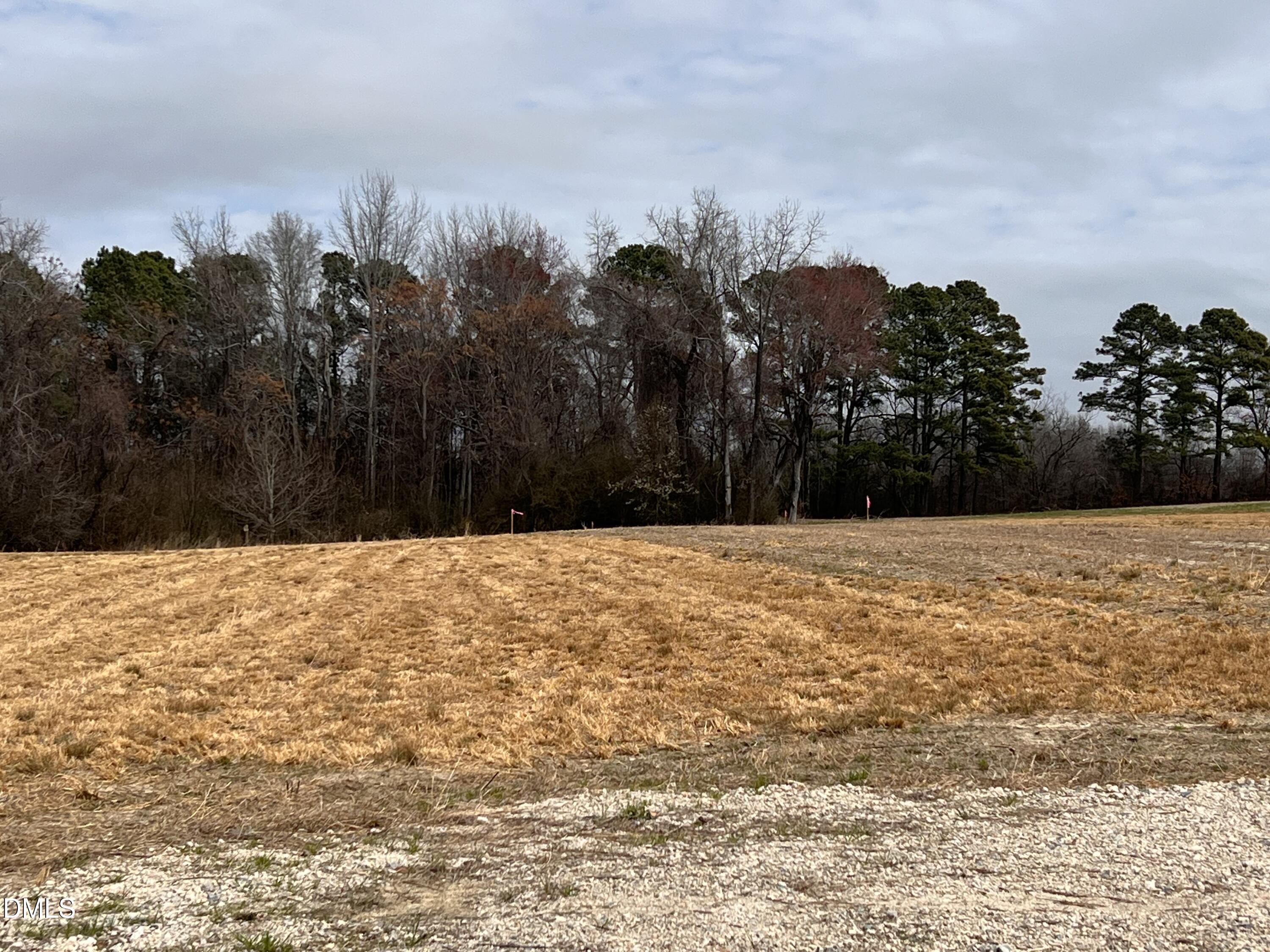 1139 Landmark Road Willow Spring, NC 27592 - Photo 2 of 4 Lot 2 a