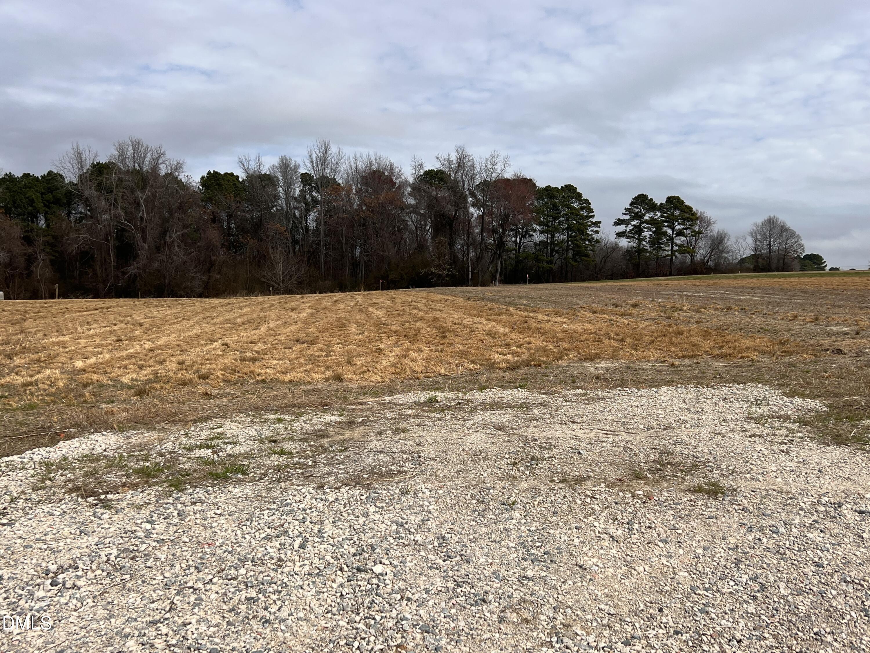 1139 Landmark Road Willow Spring, NC 27592 - Photo 3 of 4 Lot 2 b