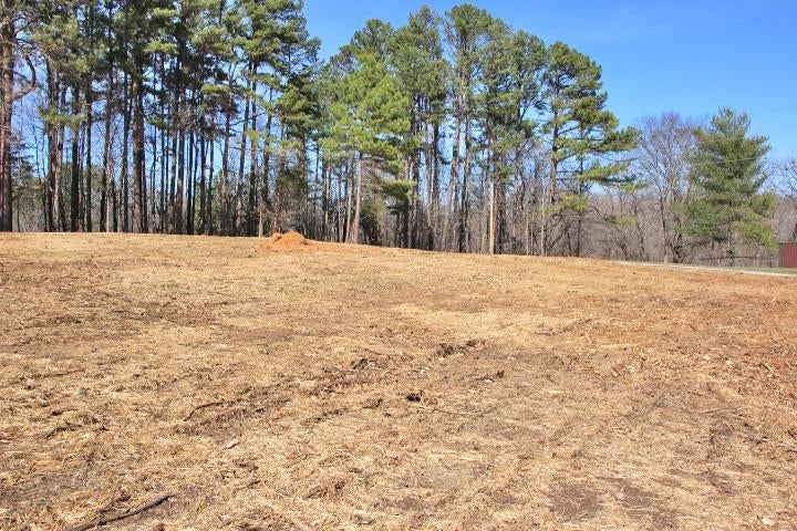 Lot 80-81 Cherokee Road Lucas, KY 42156 - Photo 7 of 7 Gallery Image 7