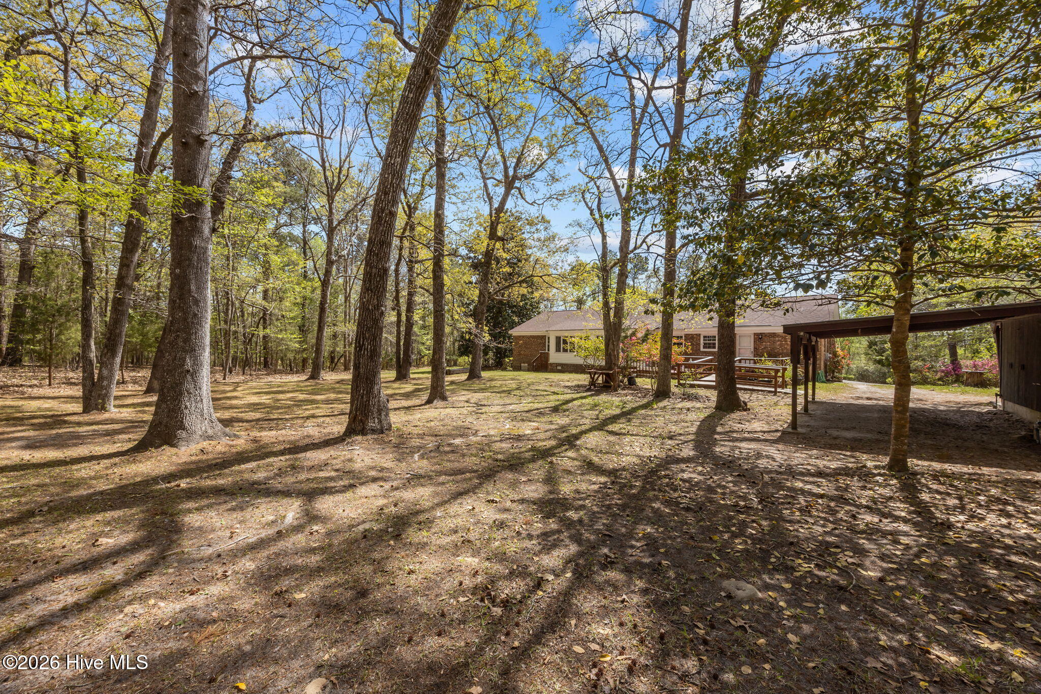 512 Raymond Road Arapahoe, NC 28510 - Photo 17 of 64 15-web-or-mls-0C0A8490