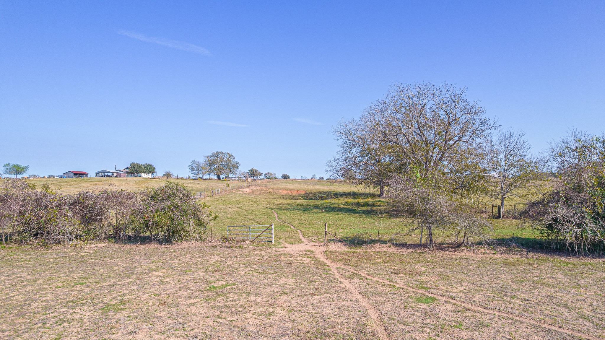 28-acres Shaws Bend Road Columbus, TX 78934 - Photo 20 of 22