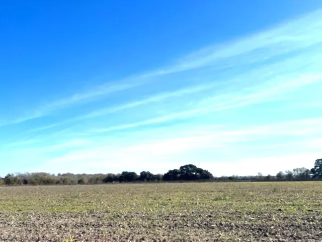 $499,900 | 28-acres Shaws Bend Road, Columbus, TX 78934