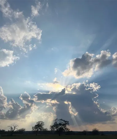 a view of a city with lots of green space