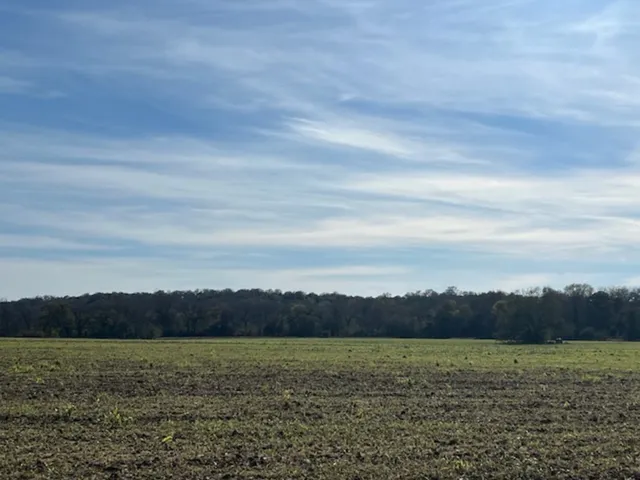 $499,900 | 28-acres Shaws Bend Road, Columbus, TX 78934