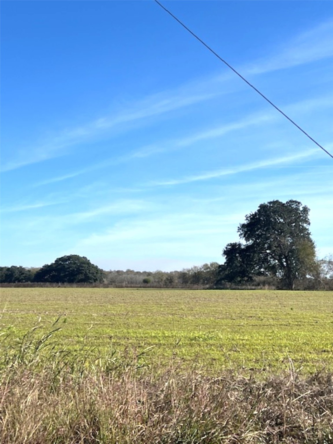 28-acres Shaws Bend Road Columbus, TX 78934 - Photo 4 of 22