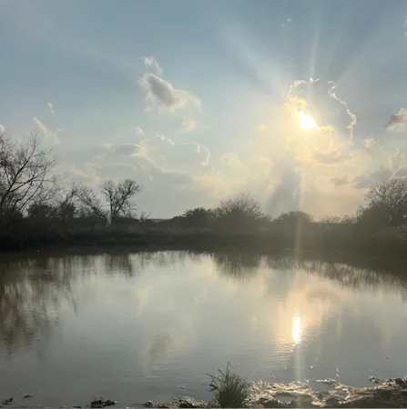 a view of a lake in middle of forest