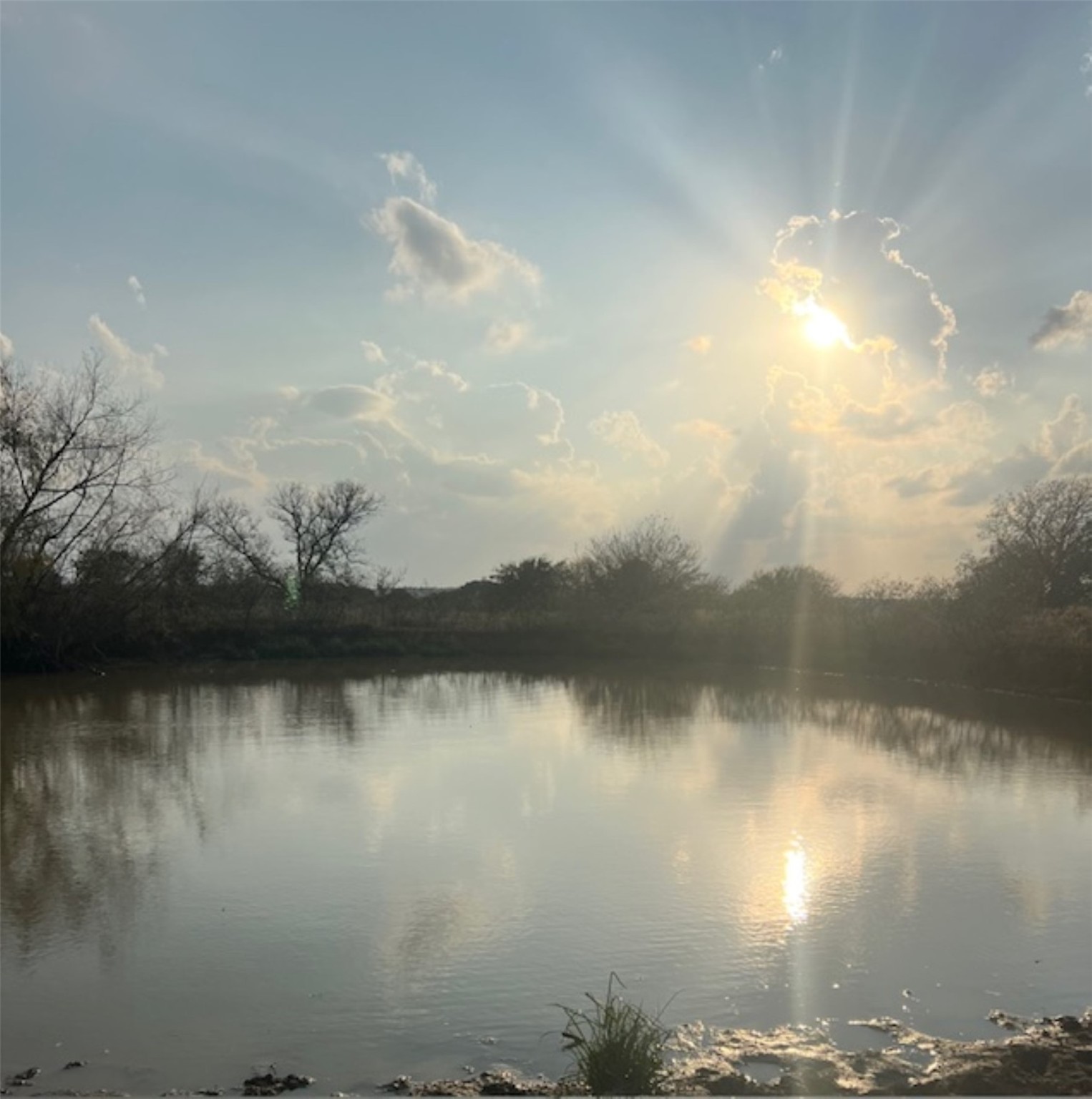 28-acres Shaws Bend Road Columbus, TX 78934 - Photo 5 of 22